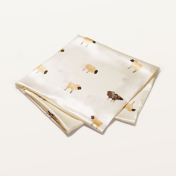 Наволочка 50х70 Ayris Silk из натурального шёлка